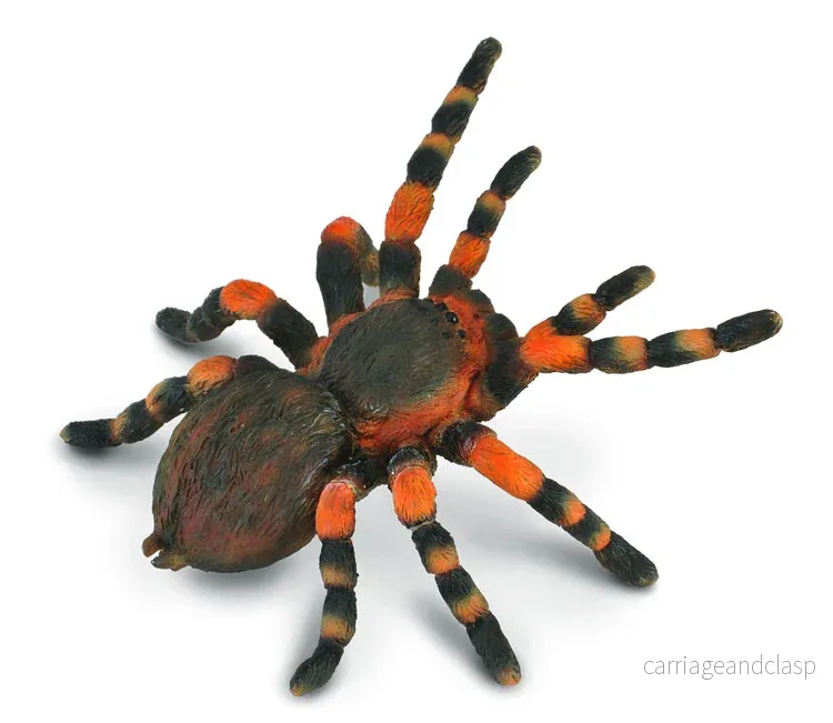 CollectA - Rödknäad fågelspindel
