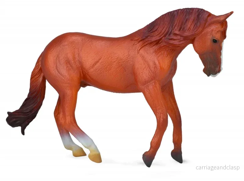 CollectA – Australisk boskapshäst fux (Australian Stock Horse) hingst CollectA – Australisk boskapshäst fux (Australian Stock Horse) hingst