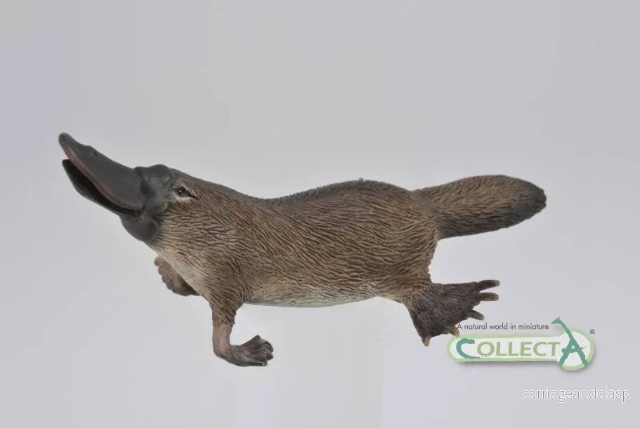 CollectA - Näbbdjur - Bild 2