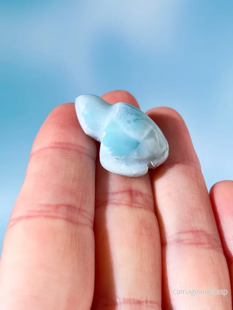 Larimar Sköldpadda (Nr. 3) - Bild 2