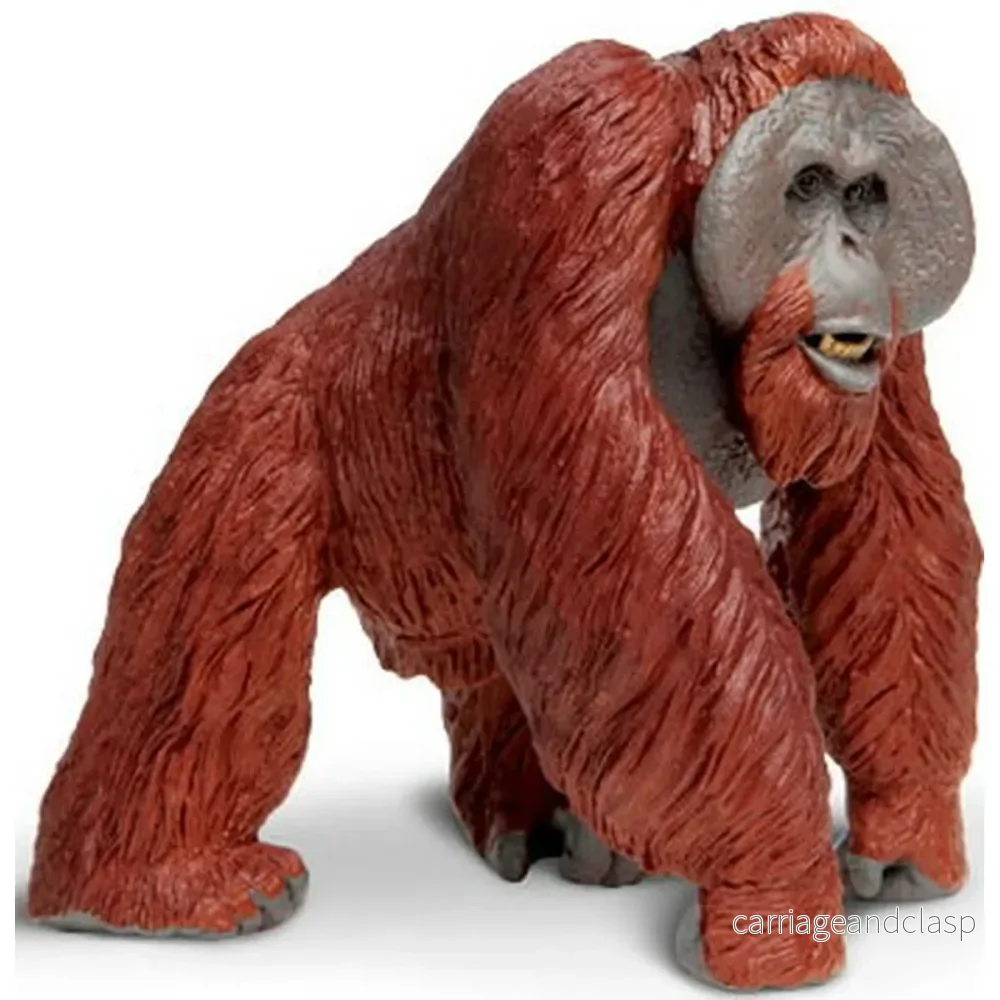 Safari Ltd - Borneoorangutang (stor modell) - Bild 3