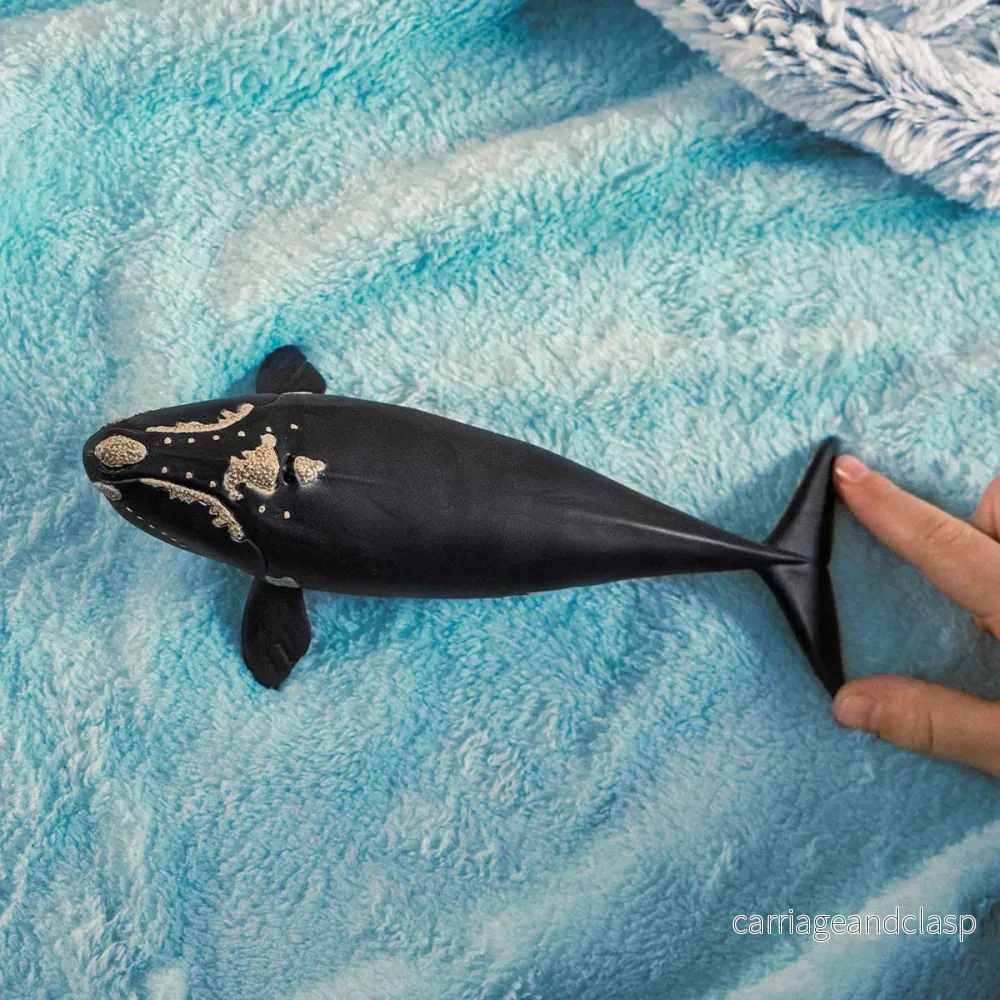 Schleich - Stillahavsnordkapare - Bild 2