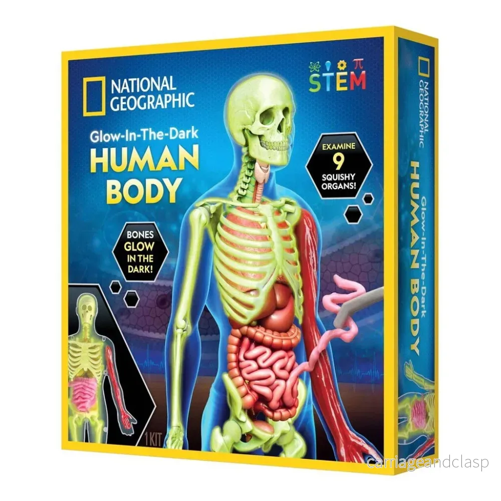 National Geographic - Utforska Människokroppen Kit