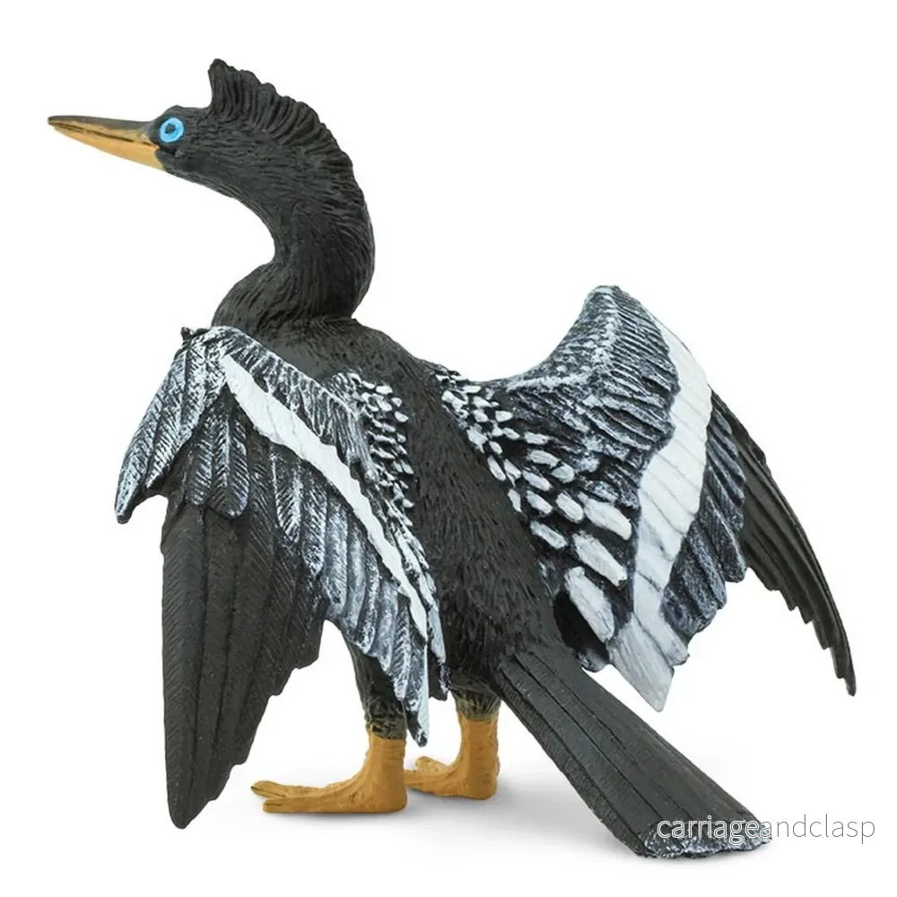 Amerikansk ormhalsfågel (Anhinga)