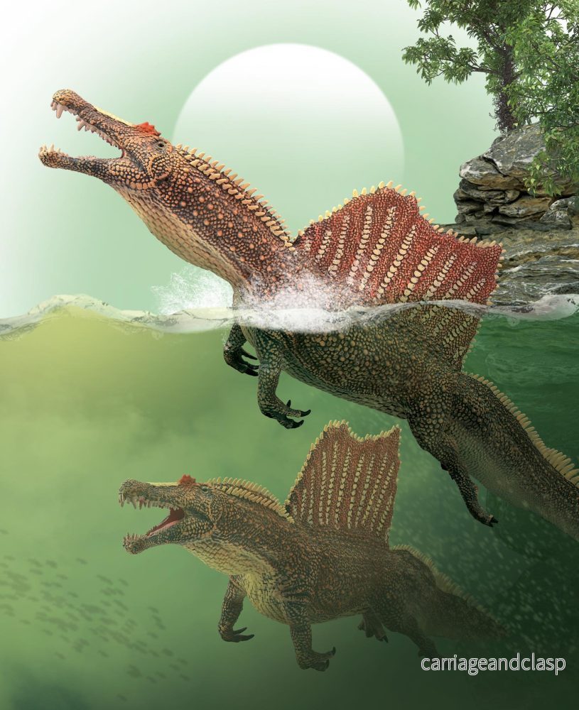CollectA - Spinosaurus simmande – Deluxe Skala: 1:40 - Bild 2