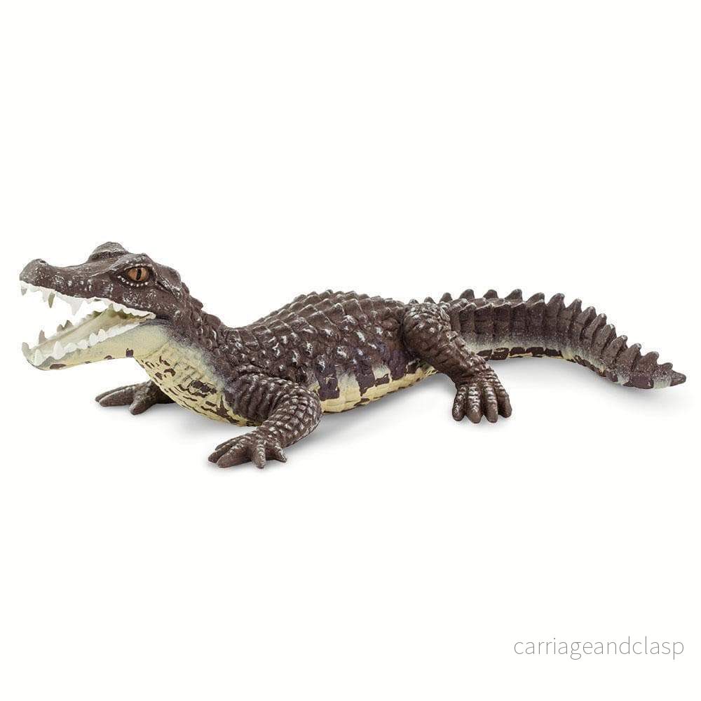 Safari Ltd - Kajman