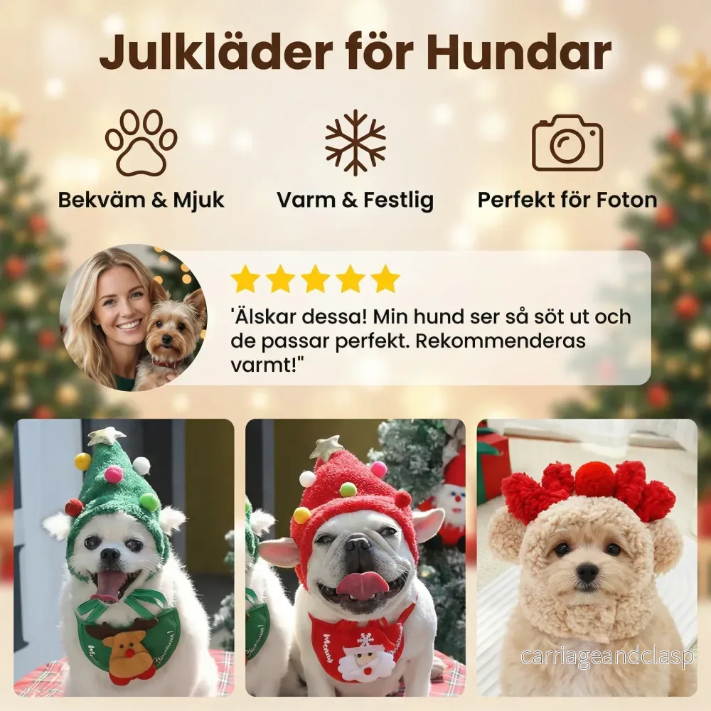 Julkläder för Hundar - Bild 3