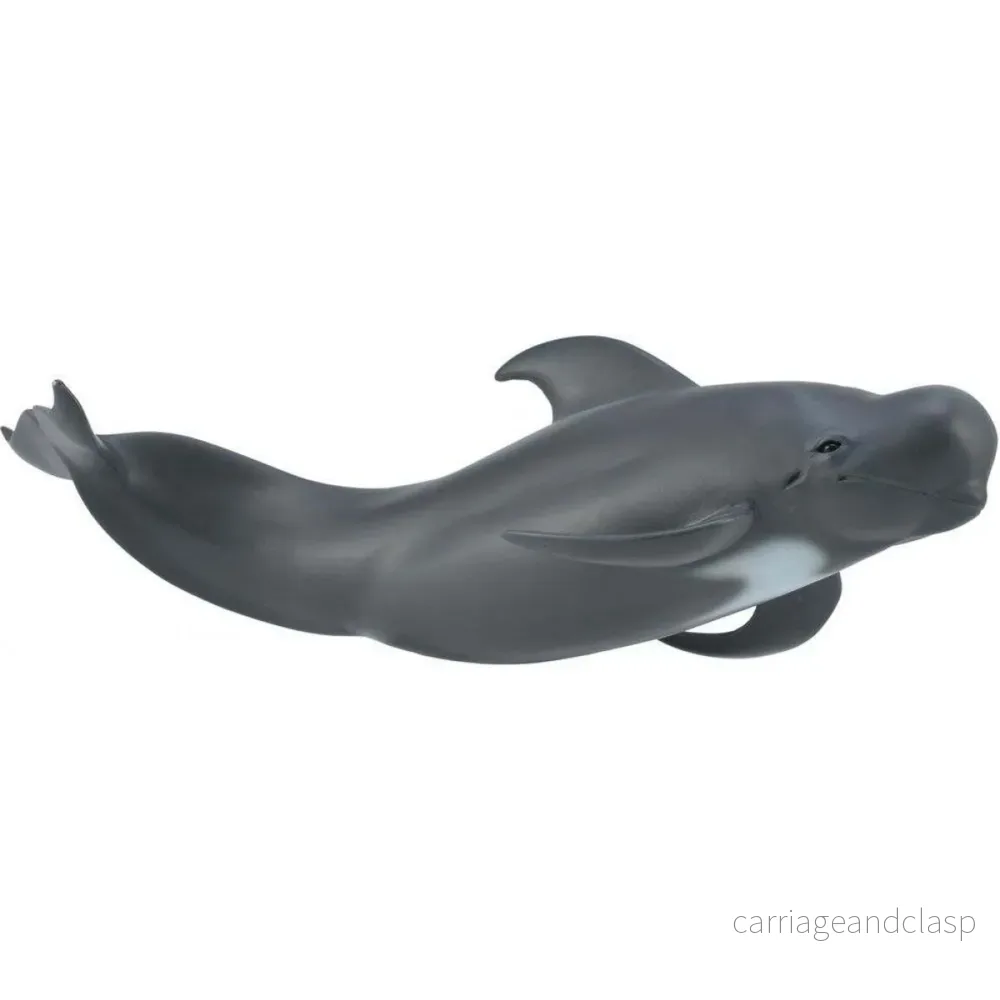 CollectA - Långfenad grindval (Globicephala)