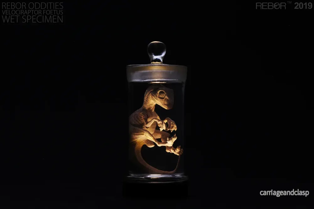 REBOR Oddities Velociraptor Foetus Wet Specimen with Light Up Base - Bild 3