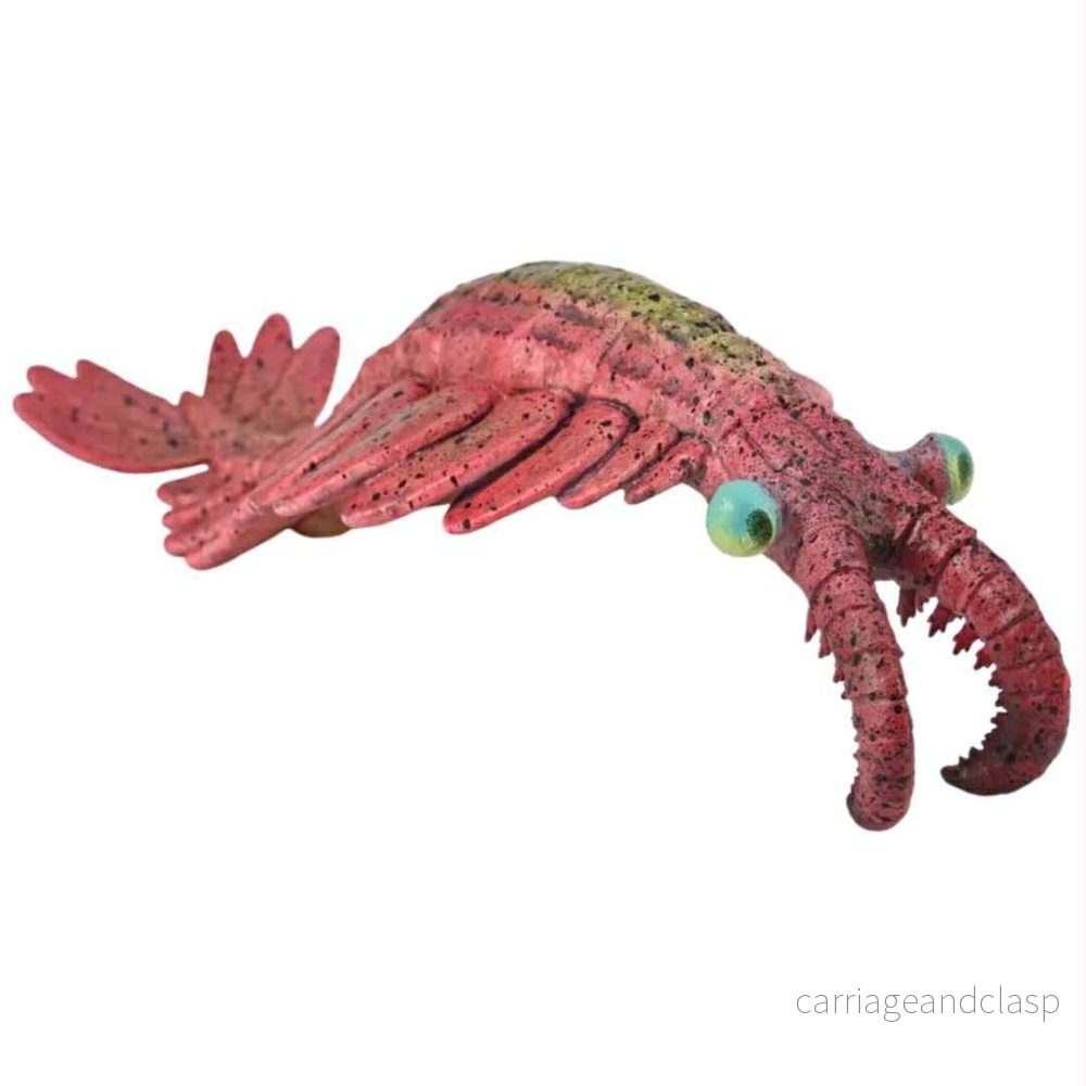CollectA – Anomalocaris