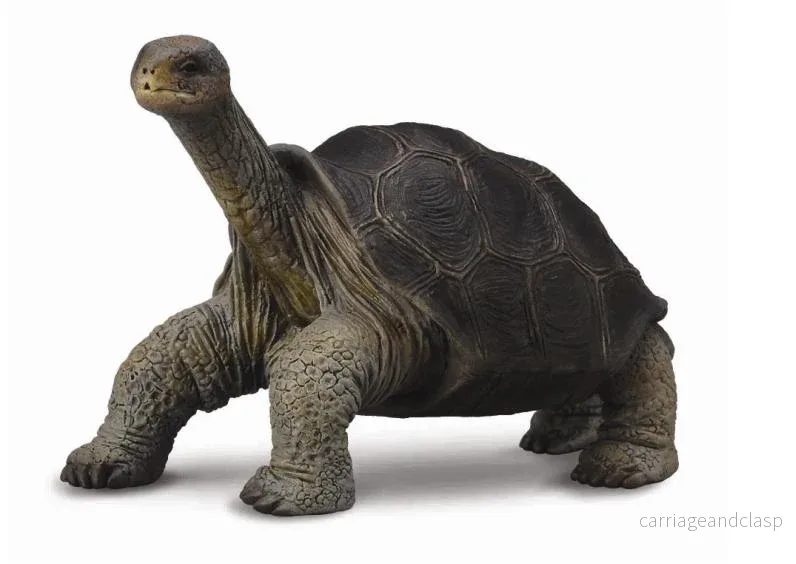 CollectA - Pintasköldpadda (Lonesome George)