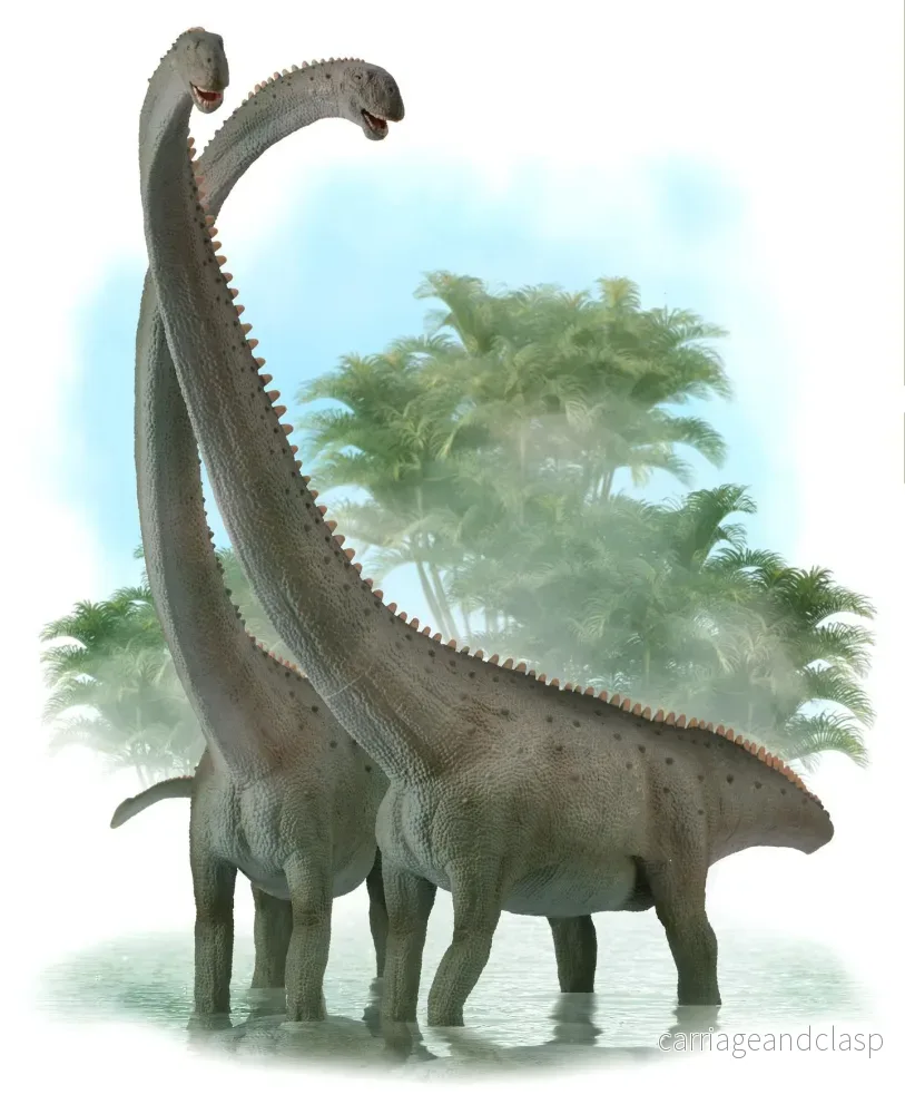 CollectA - Mamenchisaurus - Bild 2