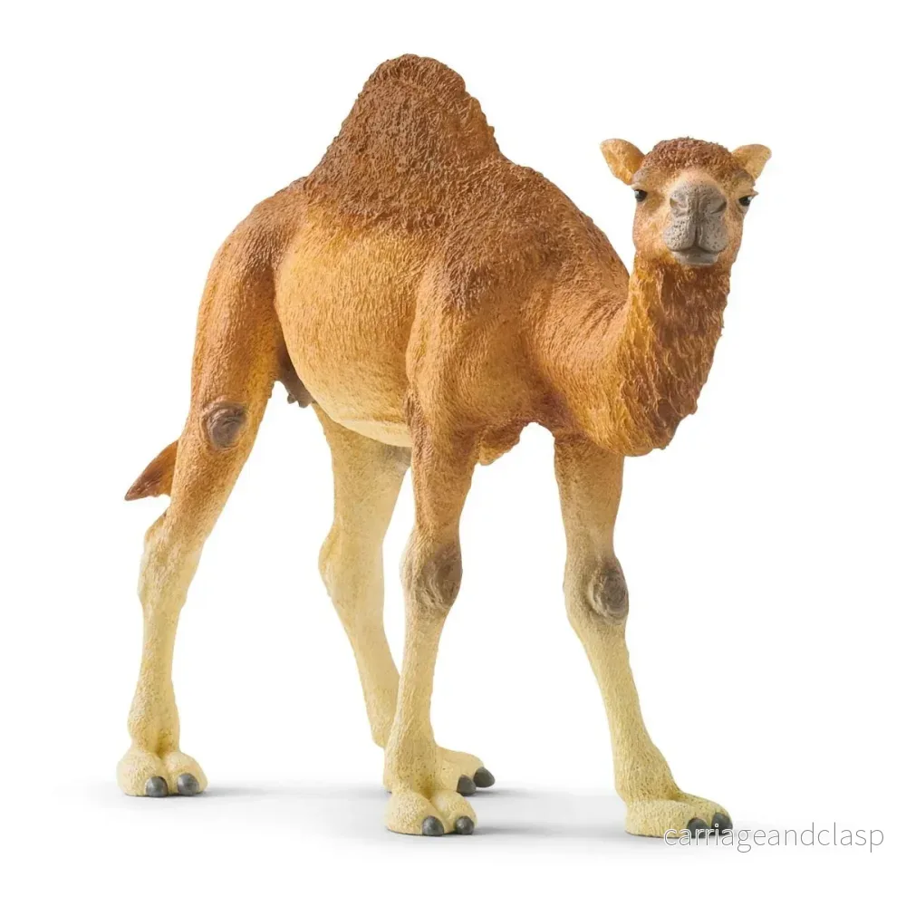 Schleich - Dromedar - Bild 2
