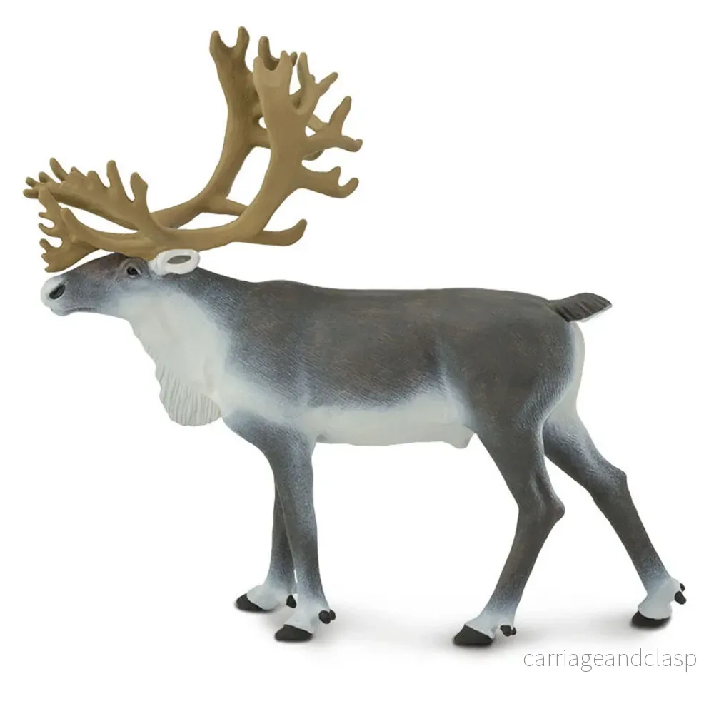Safari Ltd - Ren (Caribou)
