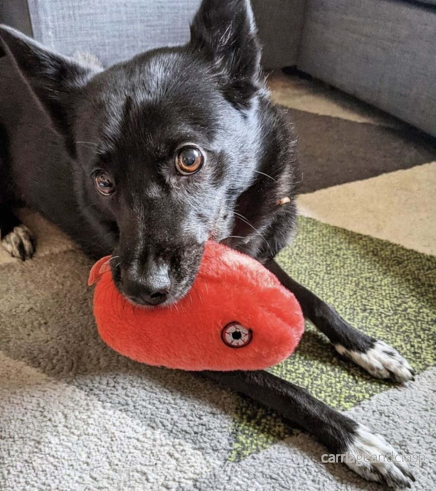 GIANTmicrobes – Rabies Plysch - Bild 3