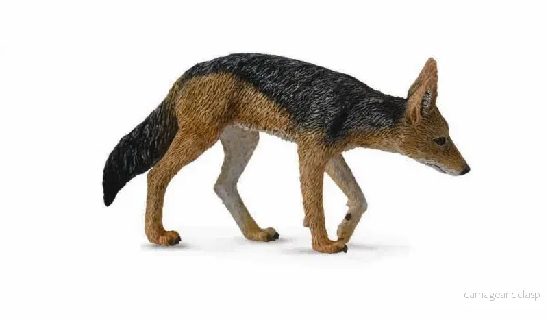 CollectA - Schabrakschakal (svartryggad schakal) - Bild 2