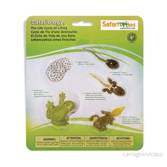 Safari Ltd –  Livscykel av en groda – Safariology®