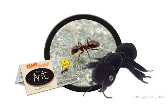 GIANTmicrobes - Black Ant (Lasius Niger) - Svartmyra - Bild 3