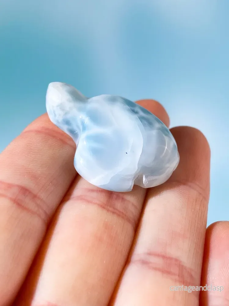 Larimar Sköldpadda (Nr. 1) - Bild 2