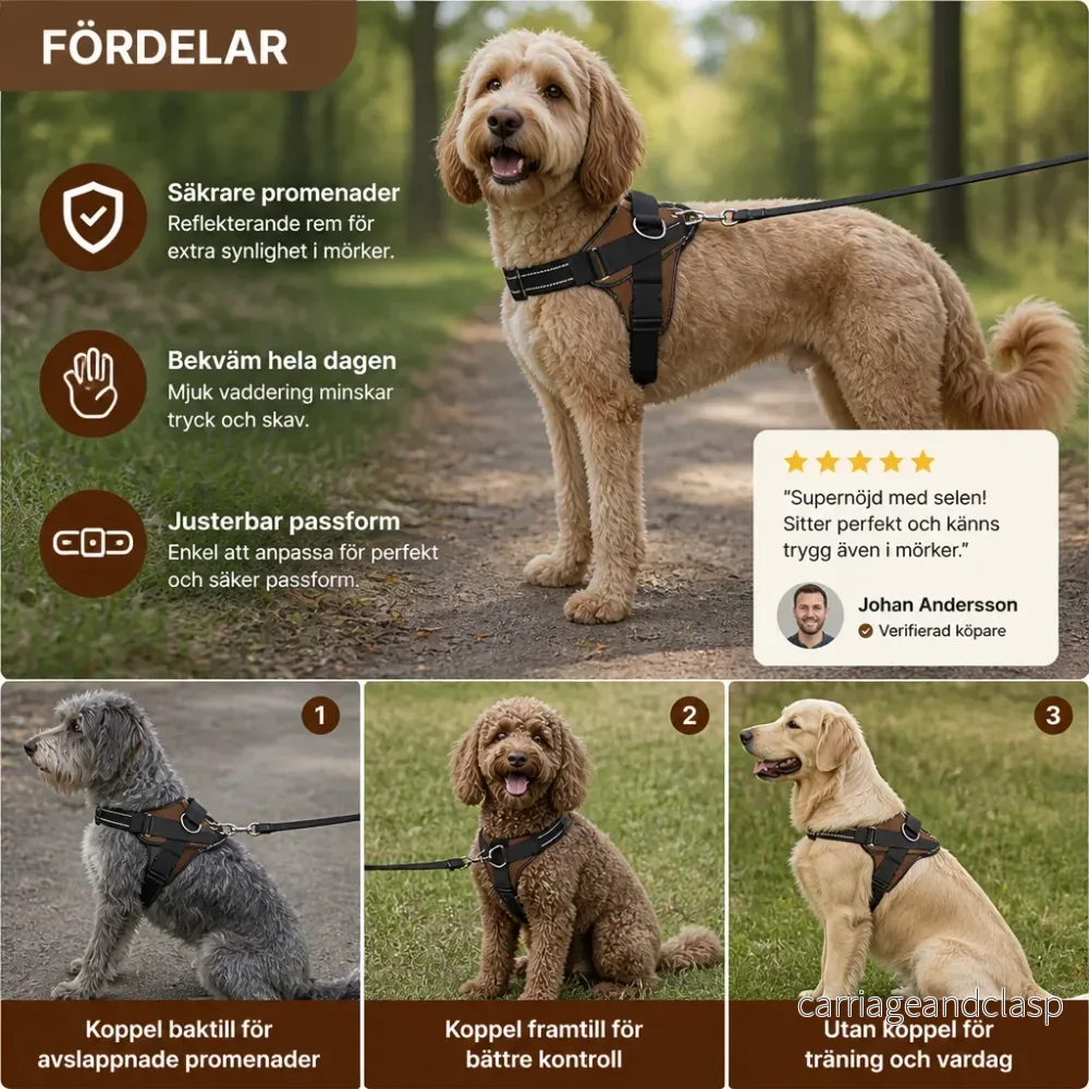 Reflekterande justerbart hundsele med 3 koppelklämmor – vadderat för promenader och träning - Bild 3
