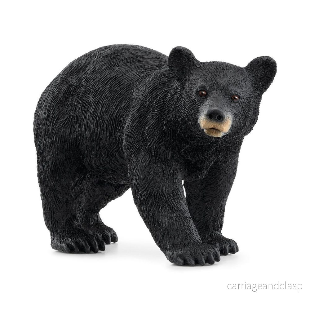 Schleich - Amerikansk svartbjörn
