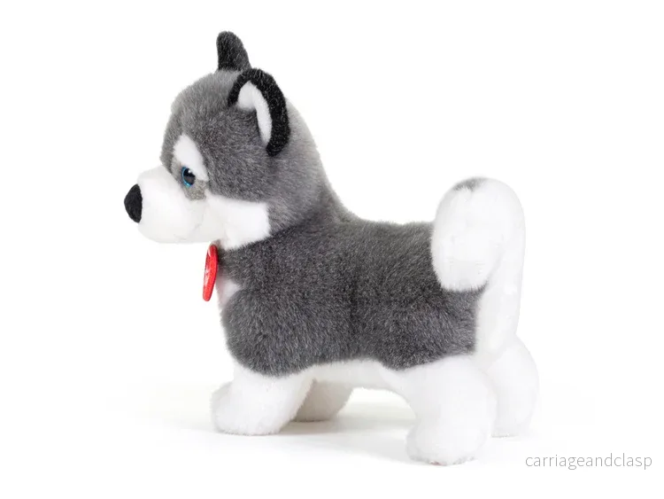 Husky Marcus - Bild 2