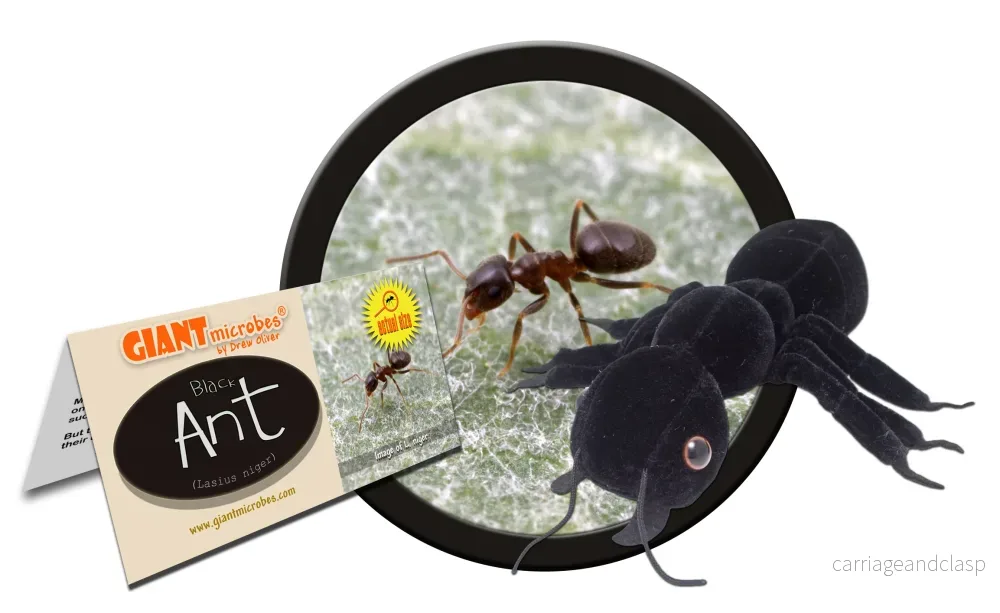 GIANTmicrobes - Black Ant (Lasius Niger) - Svartmyra