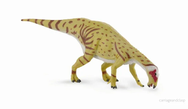 CollectA - Mantellisaurus - (dricker) - Bild 2