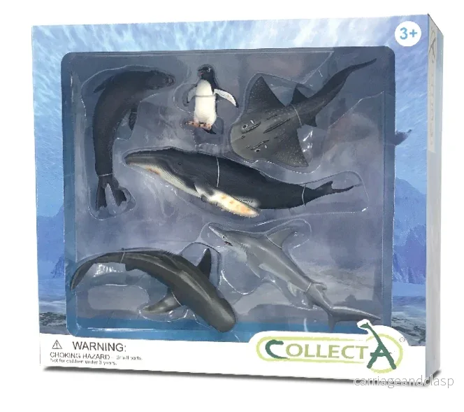 CollectA – Havsdjur 6 st i presentbox CollectA – Havsdjur 6 st i presentbox