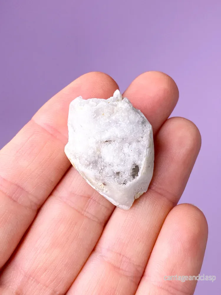 Druzy Conch-fossil (nr 23)