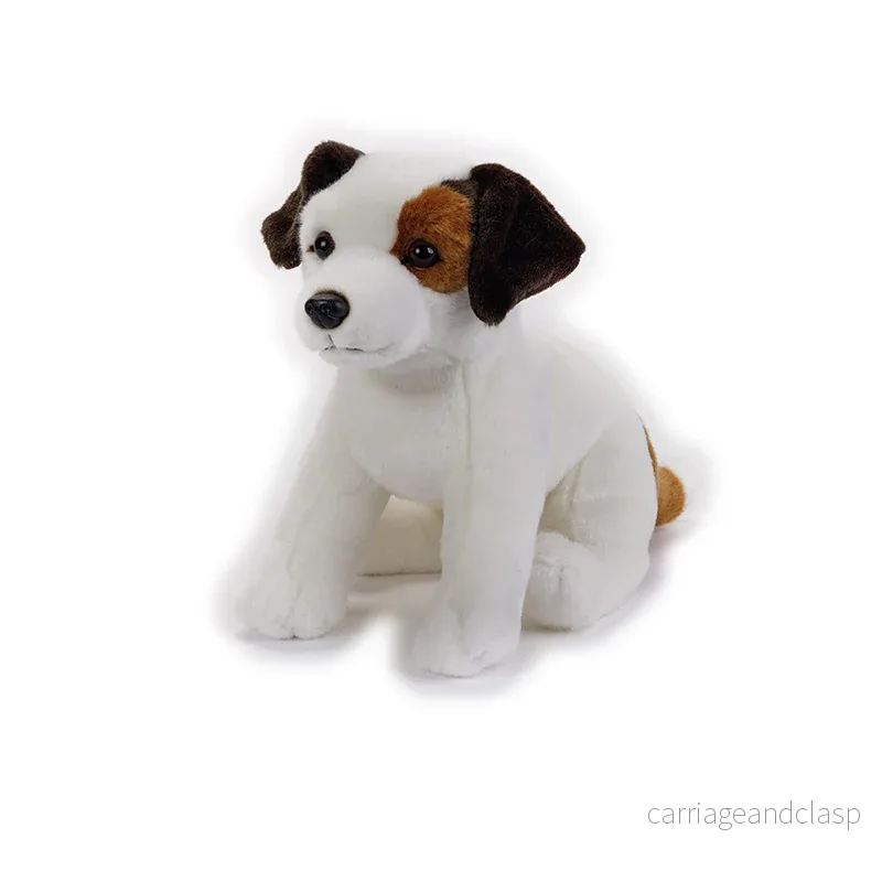National Geographic Kids: Jack Russel Terrier