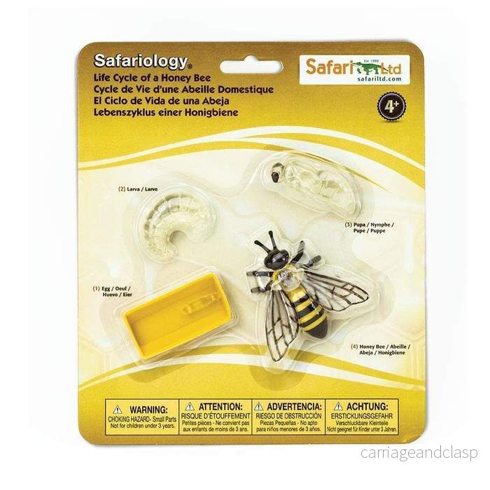 Safari Ltd – Livscykel av ett bi – Safariology® Safari Ltd – Livscykel av ett bi – Safariology®