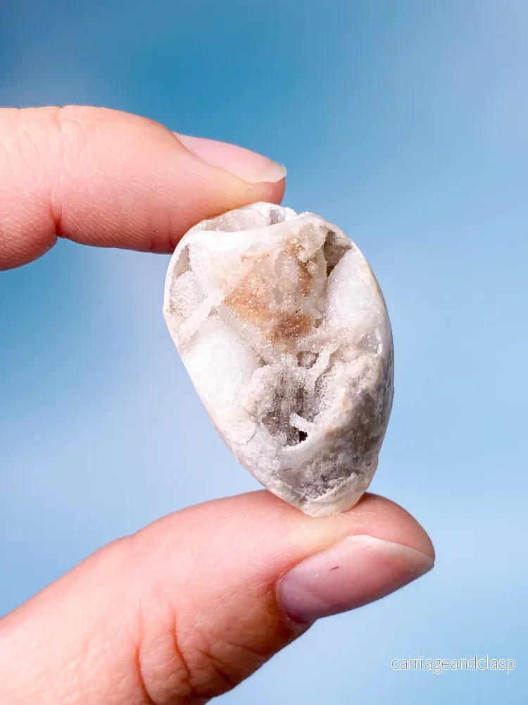 Druzy Conch Fossil (nr 20) Druzy Conch Fossil (nr 20)