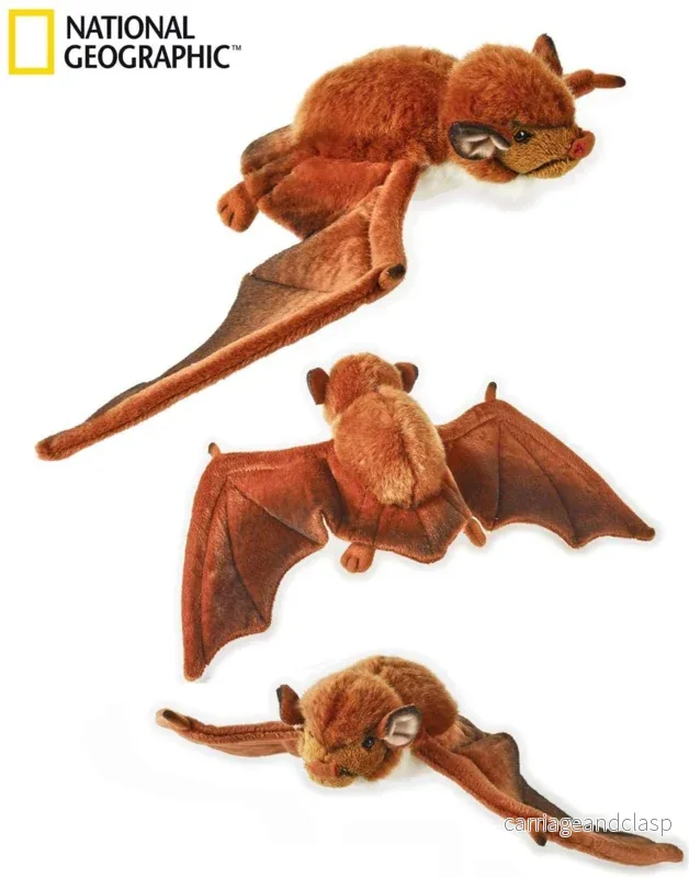 National Geographic: Fladdermus