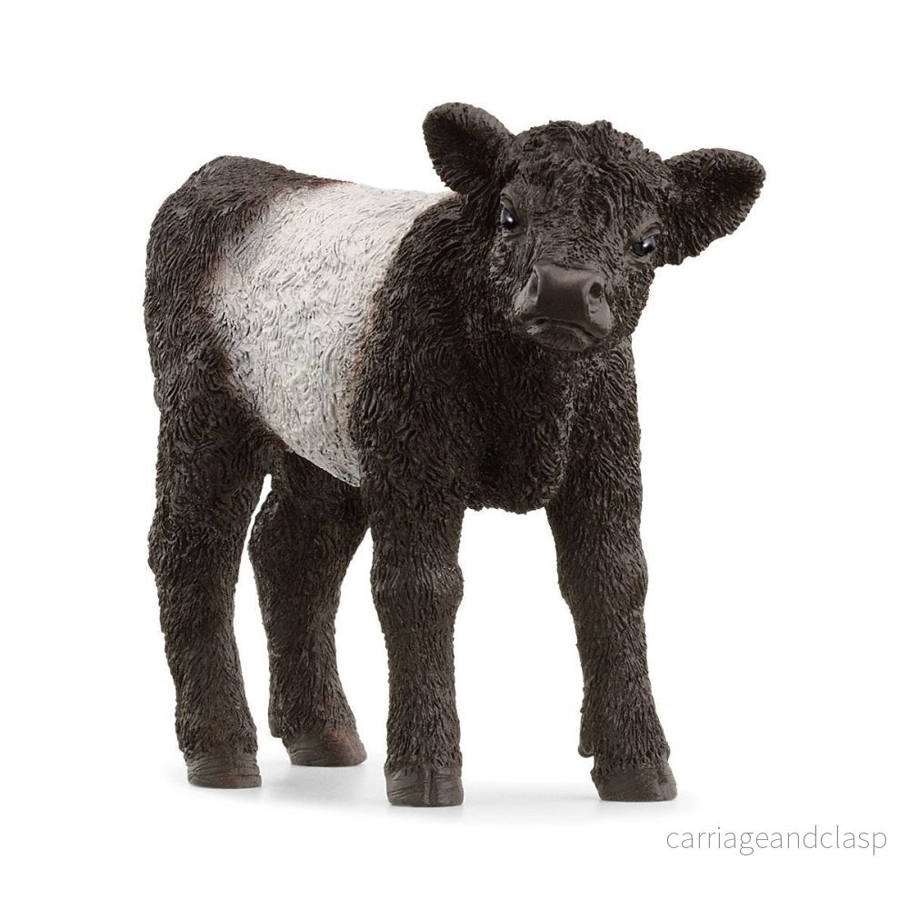 Schleich - Galloway, kalv