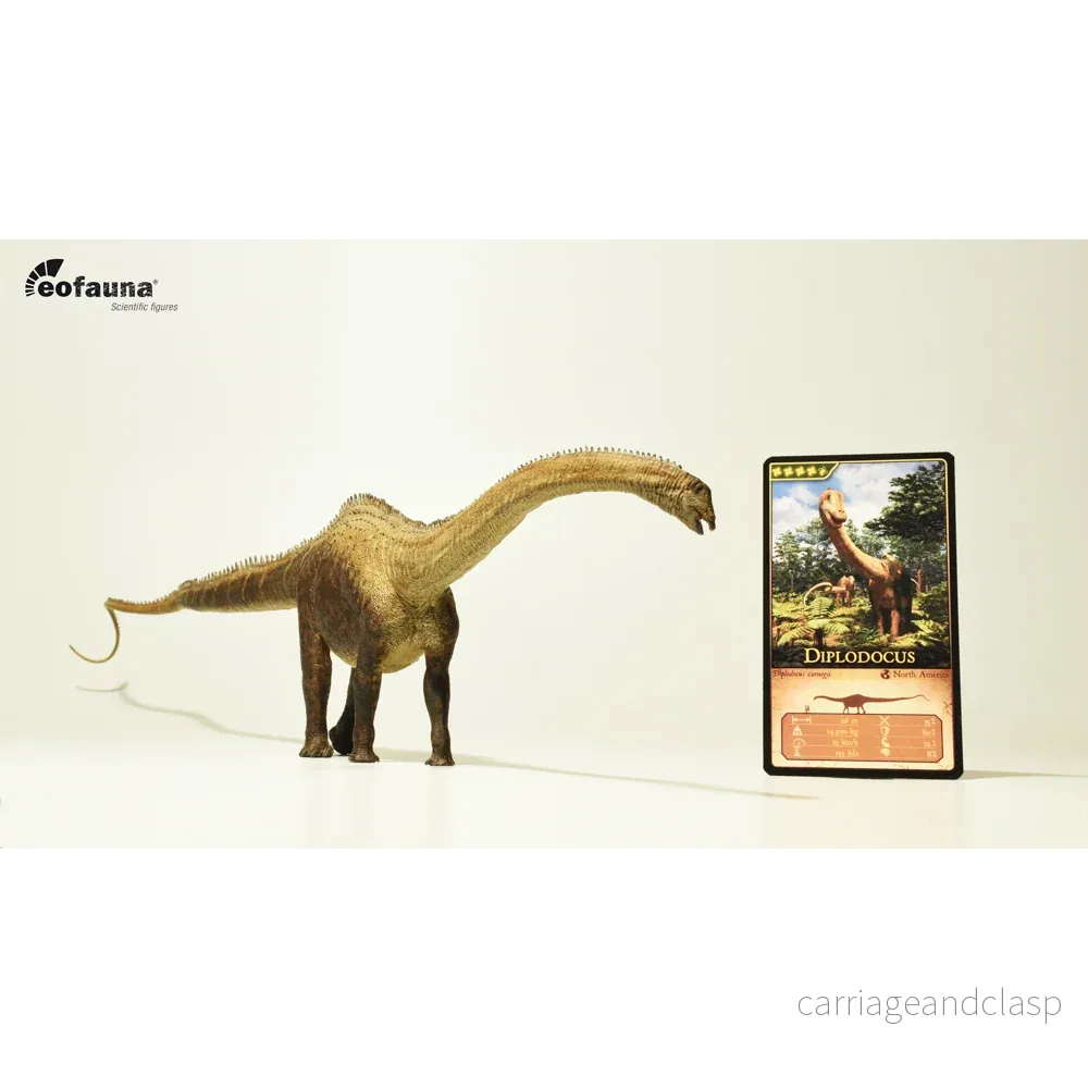 Eofauna - Diplodocus (D. carnegii)