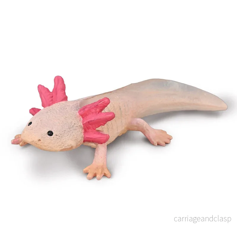 CollectA – Axolotl CollectA – Axolotl
