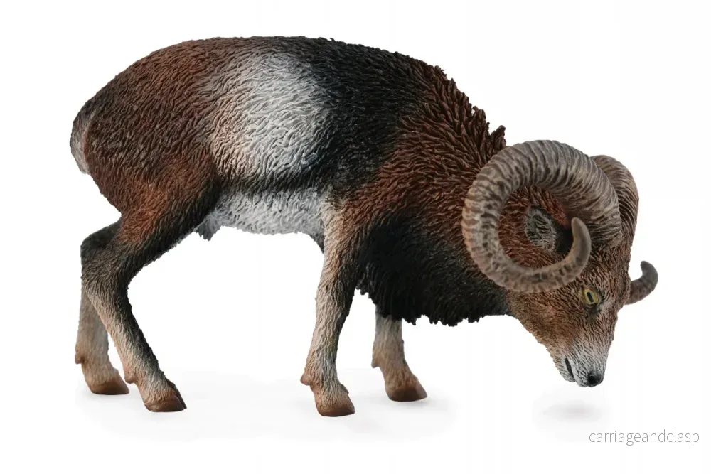 CollectA - Mufflonfår