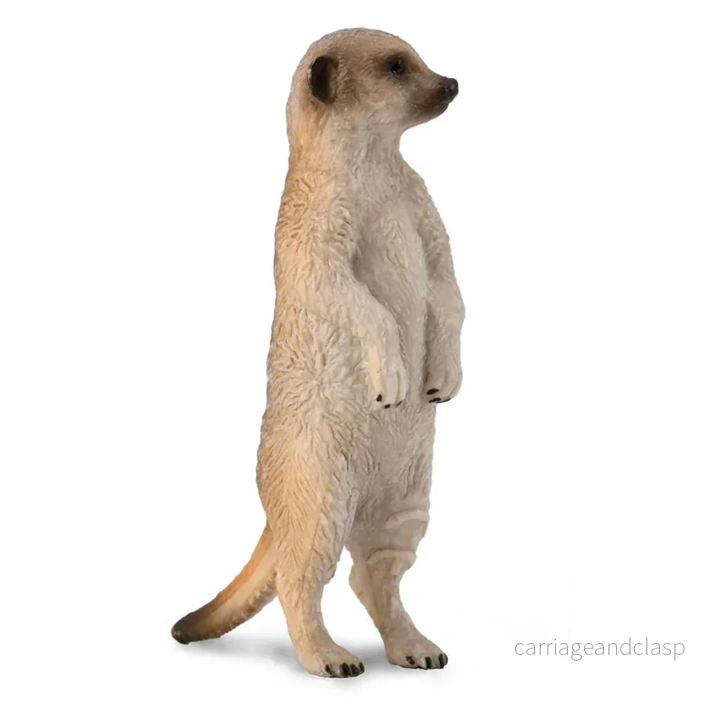 CollectA – Surikat CollectA – Surikat