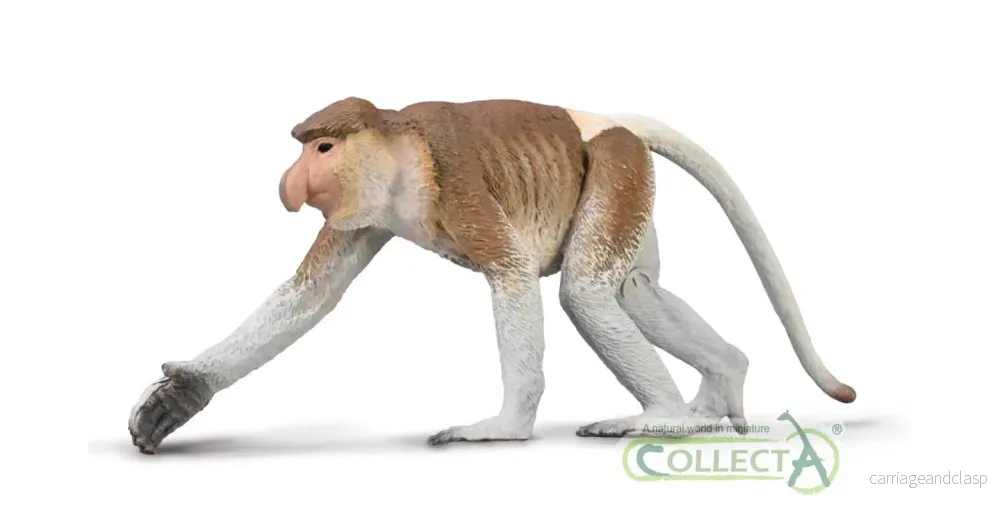 CollectA - Näsapa (Proboscis monkey)