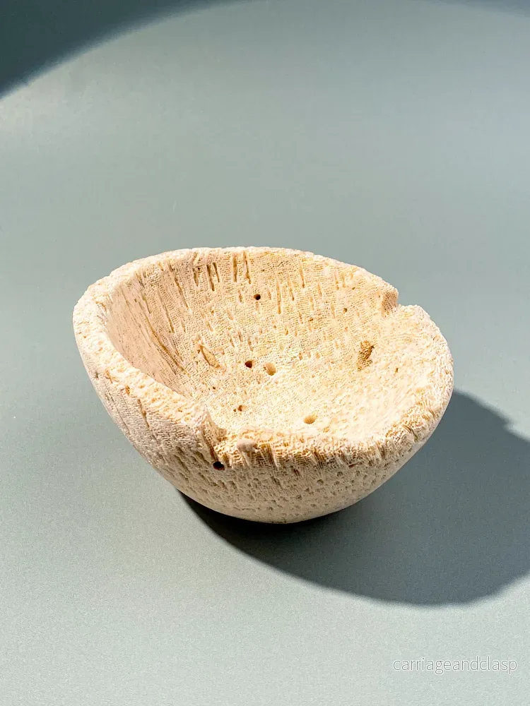 Skål med korallrotfossil (nr 2) Skål med korallrotfossil (nr 2)
