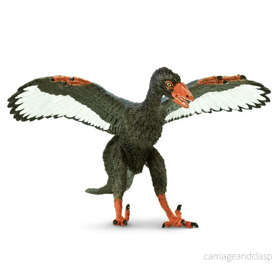 Safari Ltd - Archaeopteryx