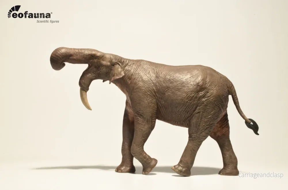 Eofauna - Deinotherium (D. giganteum) - Bild 2