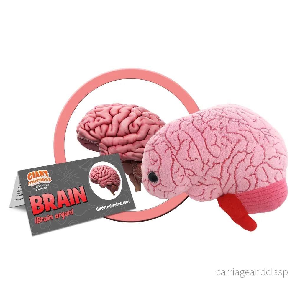 GIANTmicrobes - Hjärna