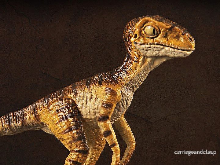 REBOR 1:18 Baby Velociraptor Museum Class Replica Stan - Bild 2