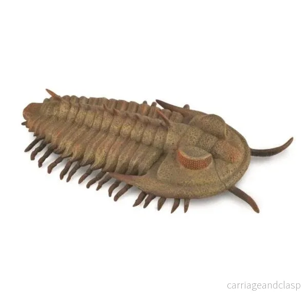 CollectA - Trilobit (Redlichia rex) - Bild 3