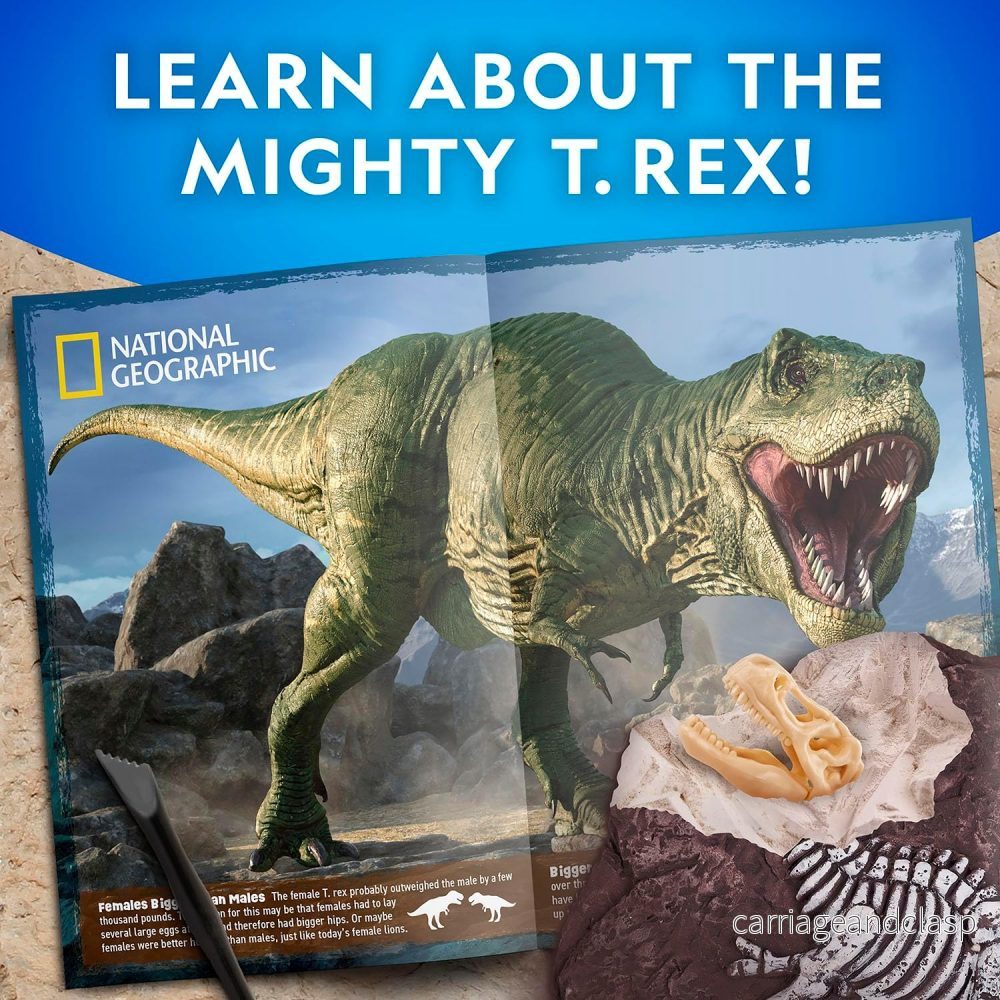 National Geographic - Tyrannosaurus Rex Dig Kit - Bild 3
