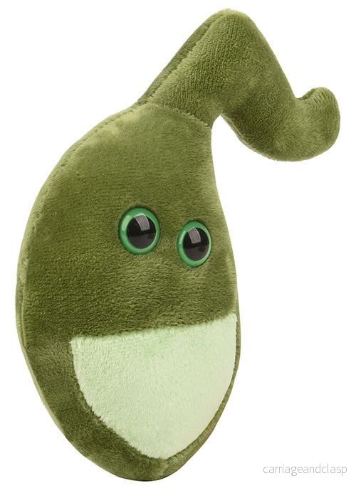 GIANTmicrobes - Gallblåsa - Bild 3