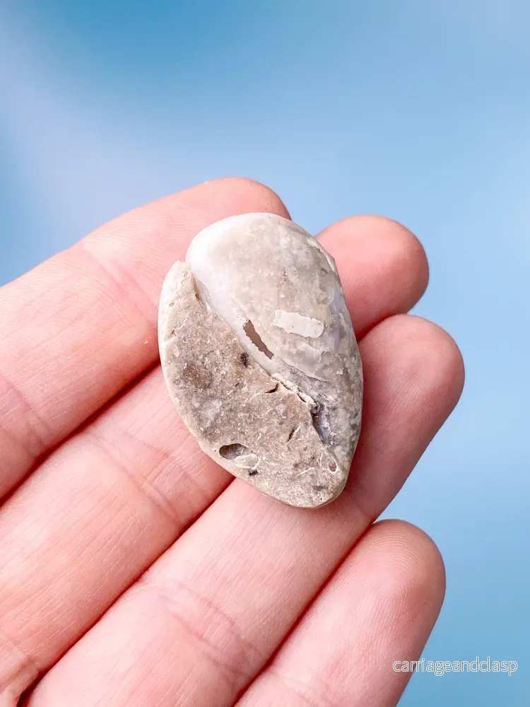 Druzy Conch Fossil (nr 20) - Bild 3