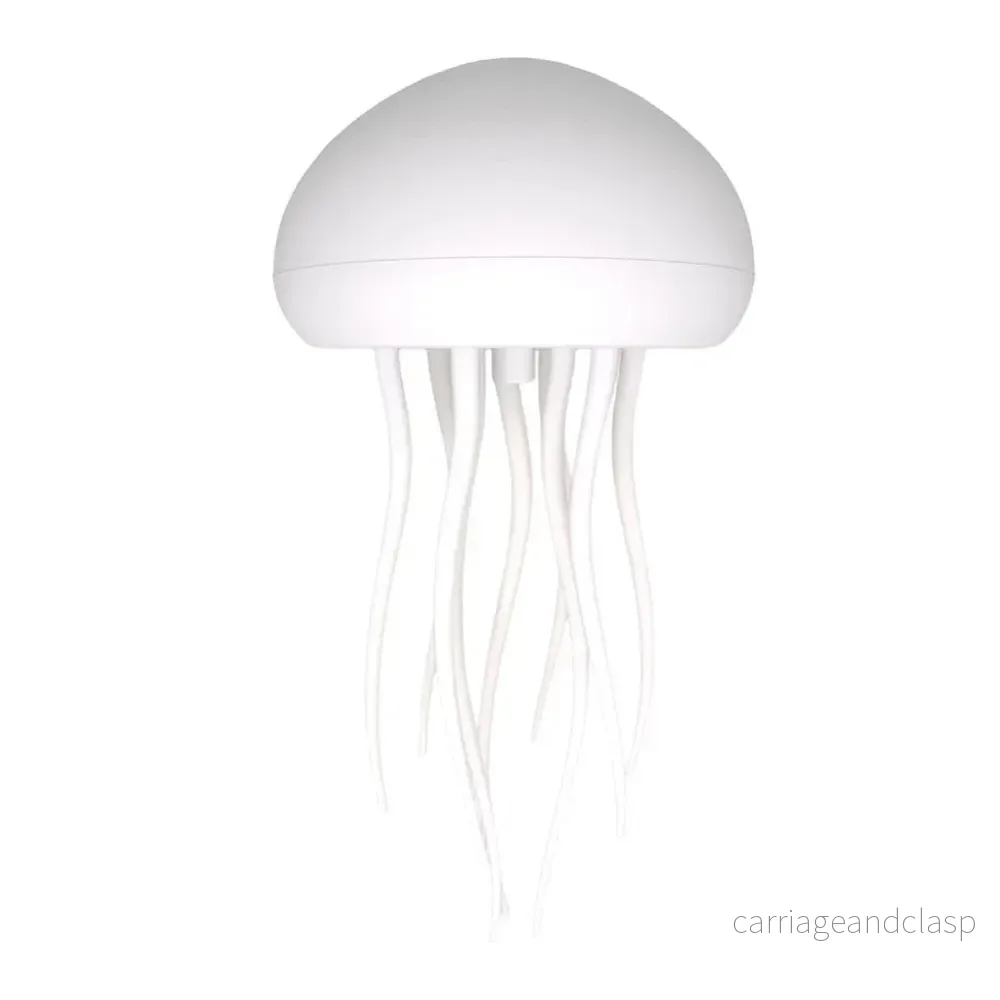 Manetlampa | Veska